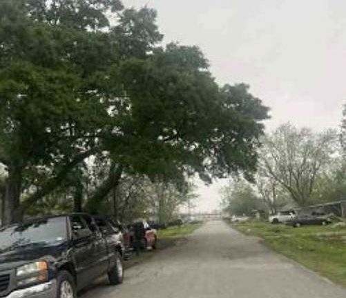 Exterior Neighborhood (street photo)