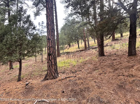 LOT 44 Alto Dr, Alto, NM 88312