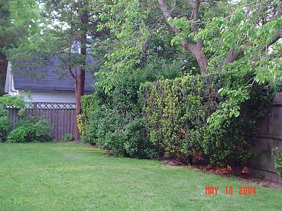 BACKYARD 2
