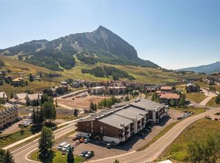 701 Gothic Rd #341, Crested Butte, CO 81225