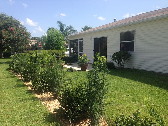 View of back yard