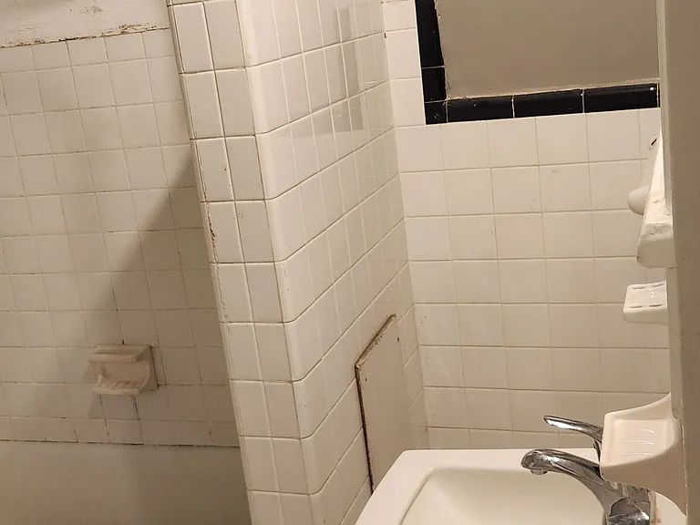 Bathroom - sink and shower
