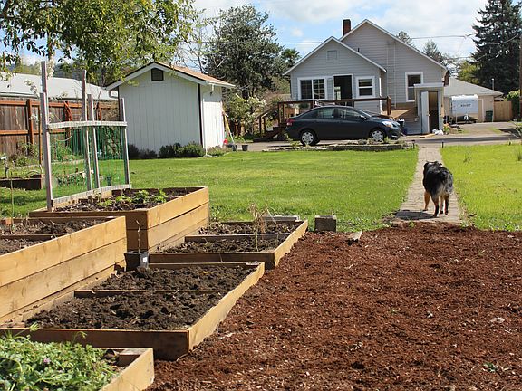 Raised Garden Beds