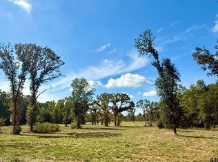 An County Rd #321, Frankston, TX 75763