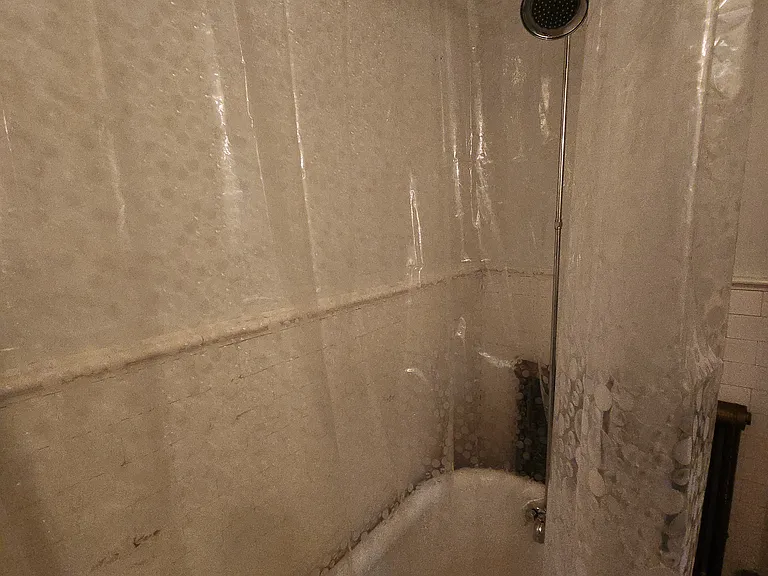 484 Madison Ave #2 — Photo 18