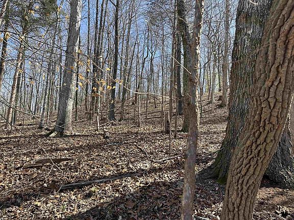 5th image of 0 Poplar Springs Rd