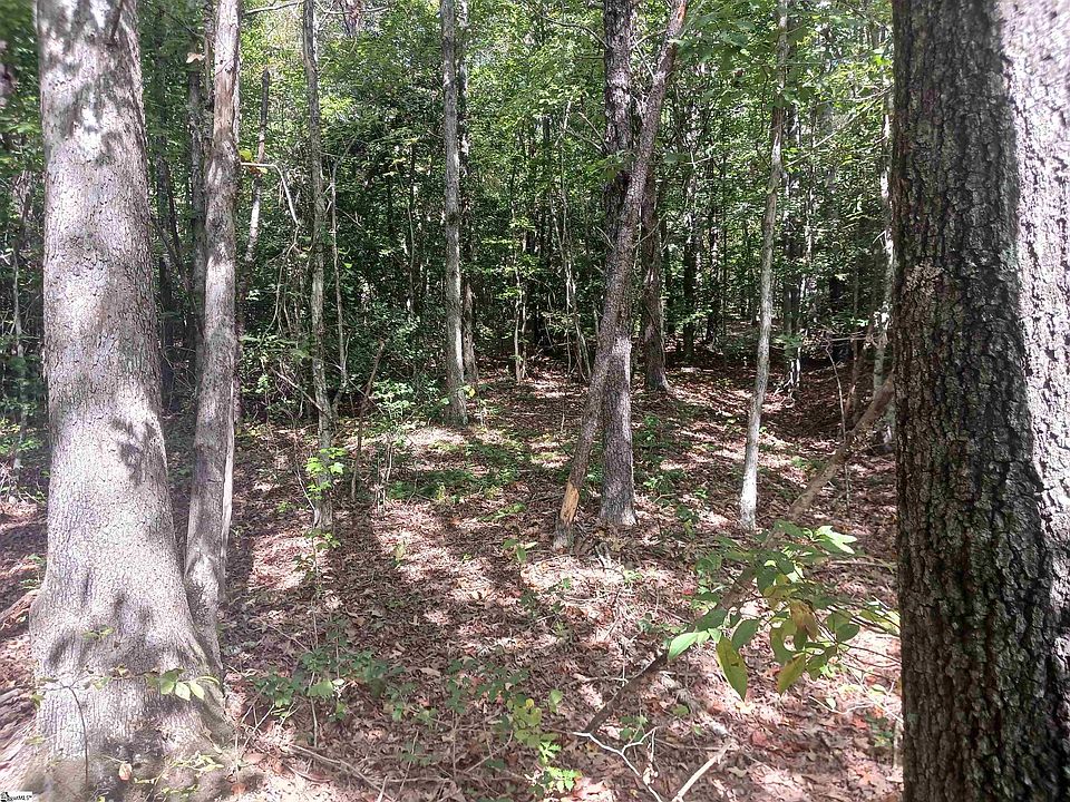 2nd image of 0 Dalton Rd
