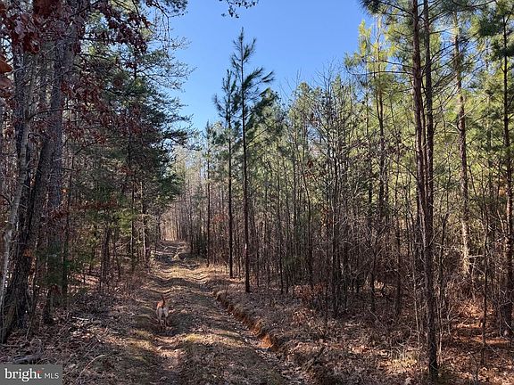 2nd image of 1 Maple Bridge Rd