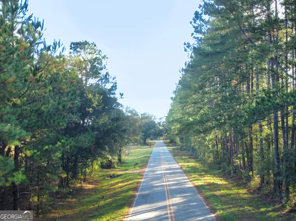 0 Mosley Rd, Claxton, GA 30417