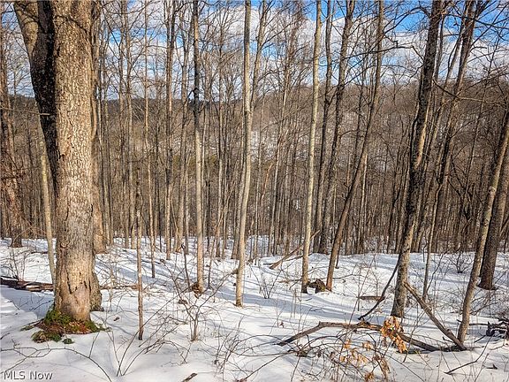 5th image of 0 Ayers Ridge Rd Tract 13