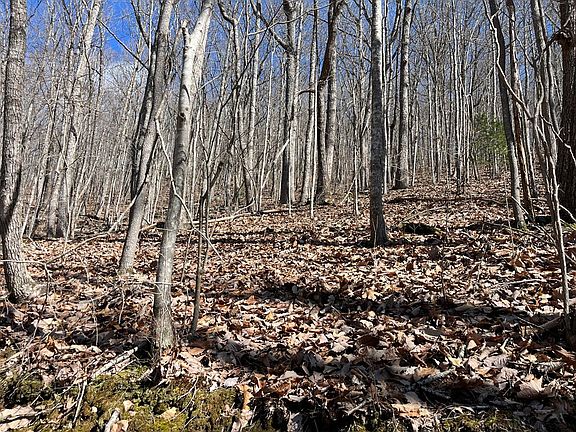 2nd image of TBD Treehouse Trail