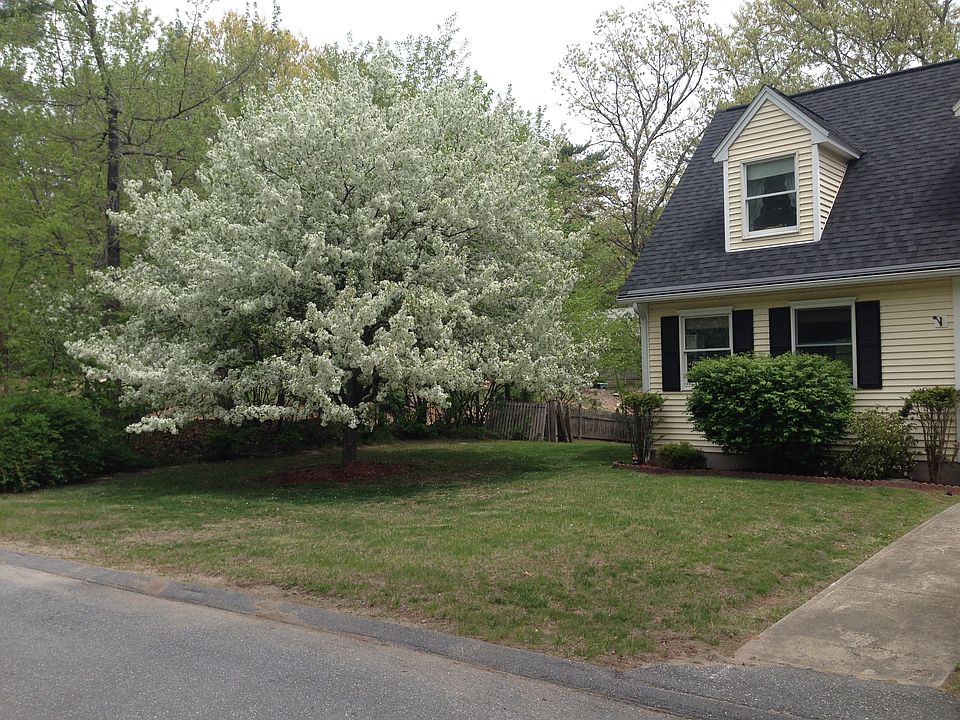 2nd image of 12 Julie Ave