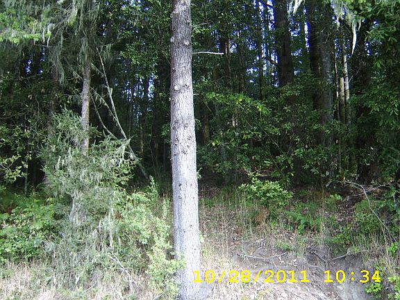 5th image of 11893 Ocean View Dr