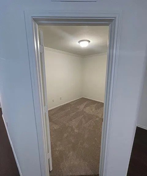 1005 Clear Dusk Ln — Photo 23