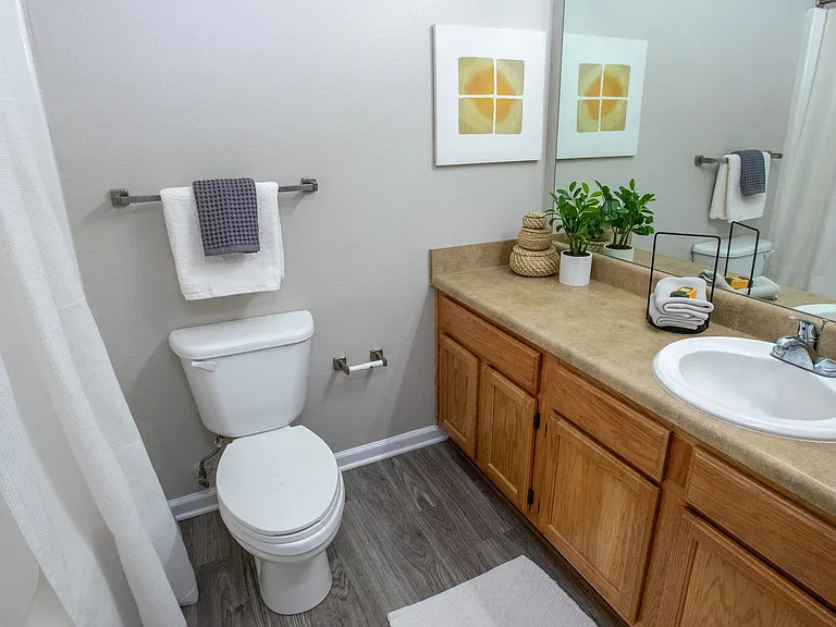 Unwind in the master suite bathroom, graced by an oversized vanity, wood-style flooring, and an expansive wall-to-wall mirror.