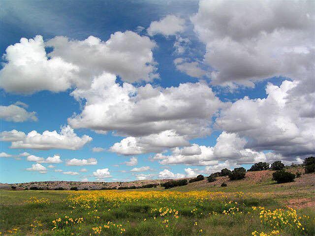 1st image of 000 County Road 6040