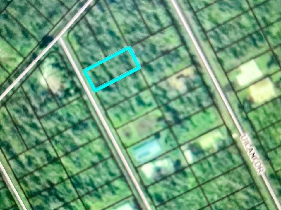2nd image of Aloha Dr