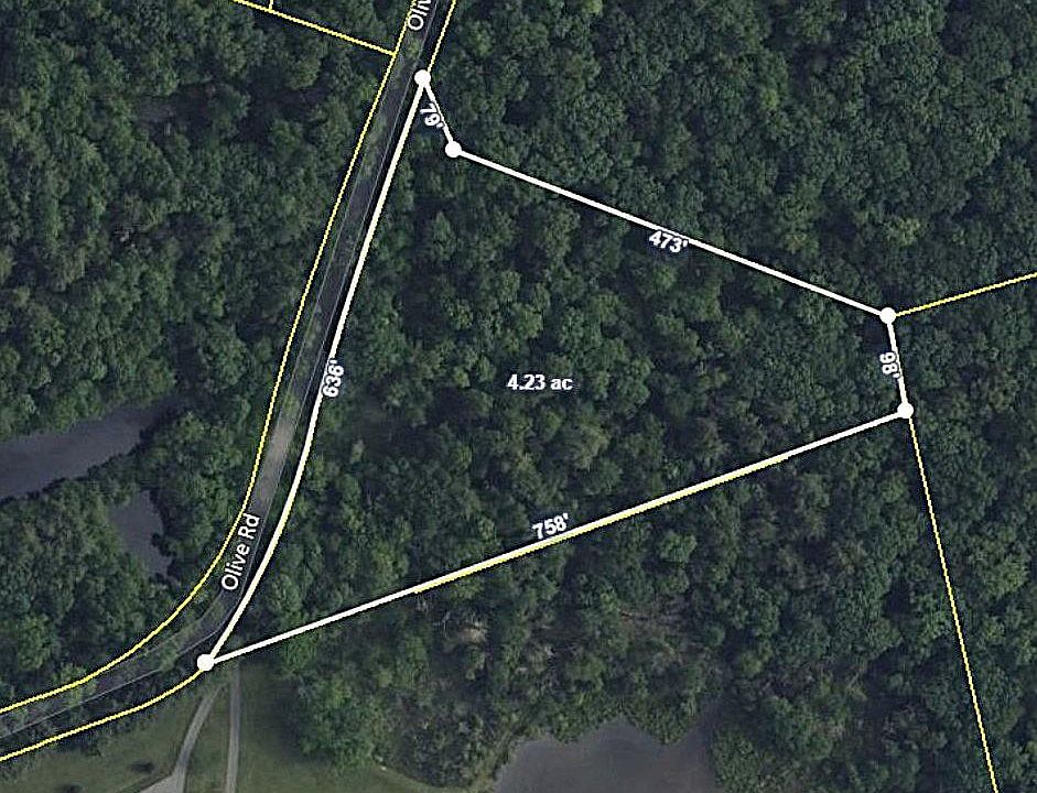 1st image of Olive Rd