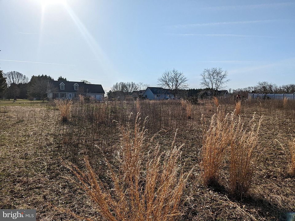2nd image of 10210 Daisy Dr