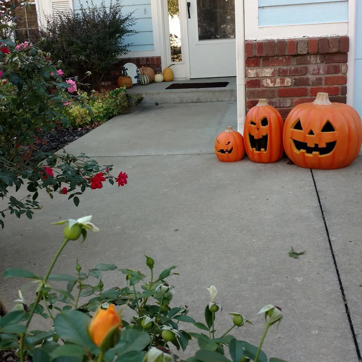 3 bed, 1423 sqft, $1,850 — Photo 1