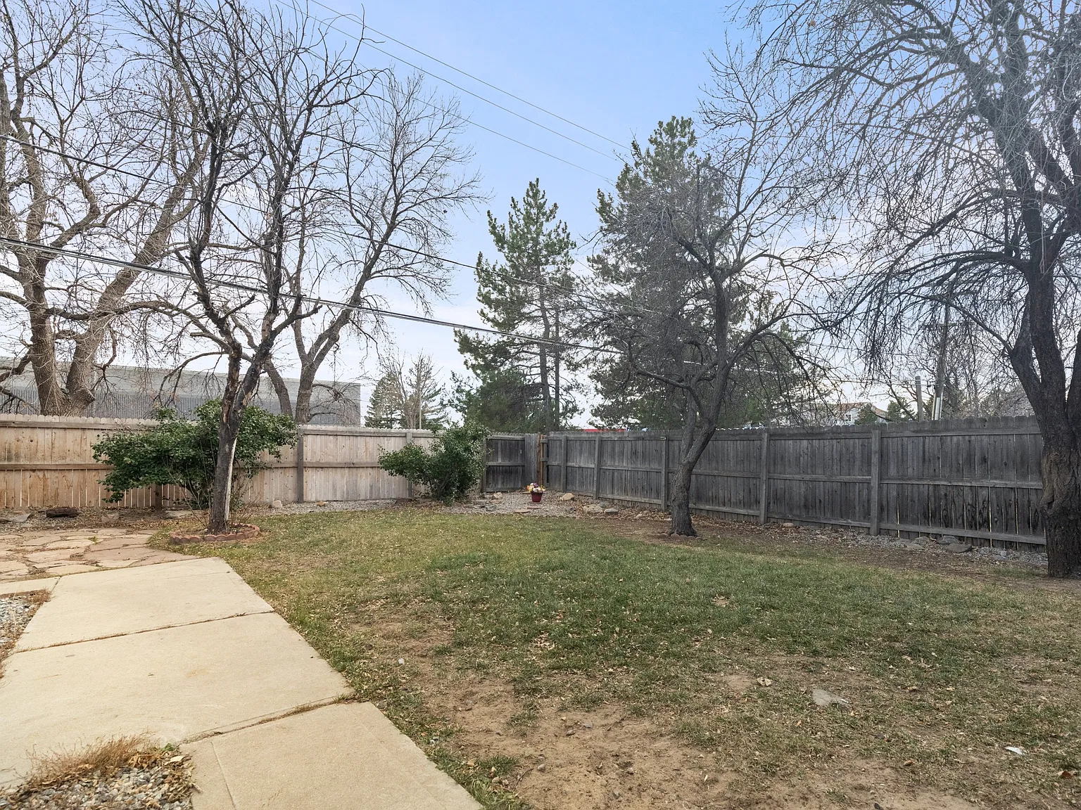 8150 Ames Way - Down — Photo 3