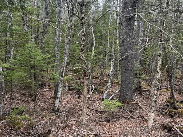 M6L10 Boundary Road, Orient, ME 04471