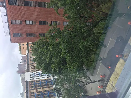 Rented by Sandra Ospina, Licensed Real Estate Broker | media 15