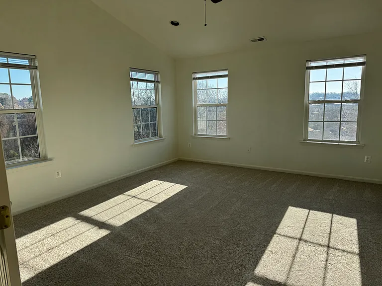 Master Bedroom with Vaulted Ceiling