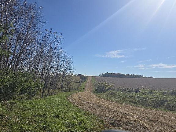 5th image of Mimosa Rd