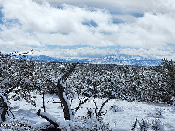 5th image of 7211 E Roper Cir Lot C