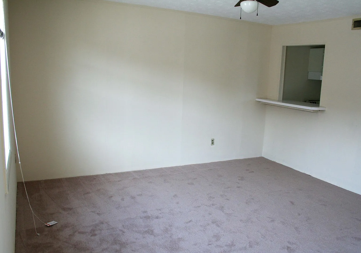 Willow Wood — Photo 2