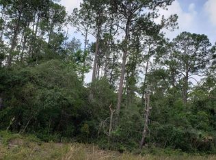 105 Magnolia Ln, Georgetown, FL 32139