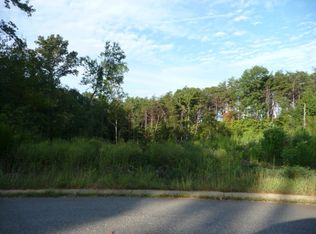 316 S Cassidy Way, Campobello, SC 29322