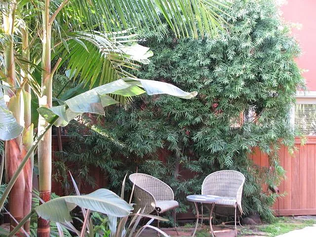 408 Sapphire St #A — Photo 15