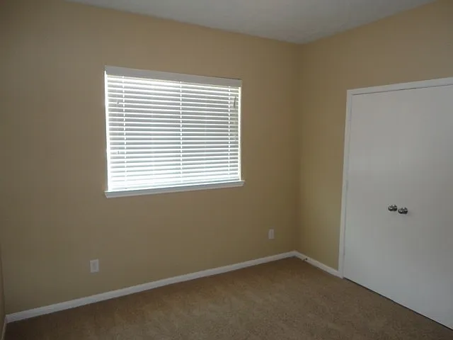 19223 Anthurium Ct — Photo 11