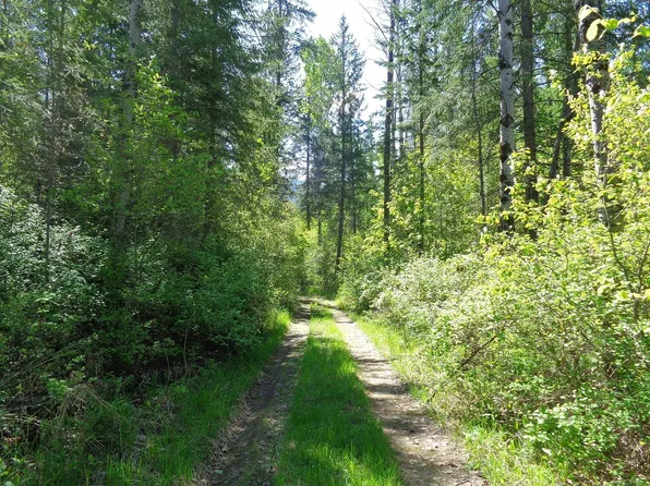 3891 Cedar Creek Rd #J, Colville, WA 99114