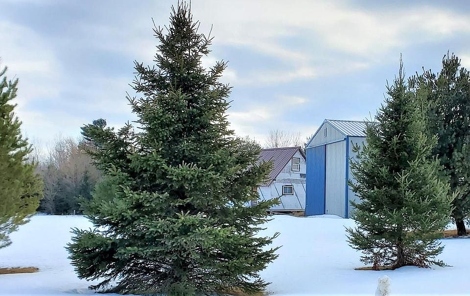 172755 GLENVIEW ROAD, Aniwa, WI 54408 Zillow