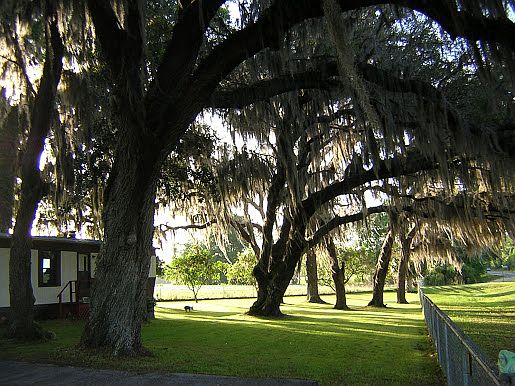 Nature Lover's Paradise