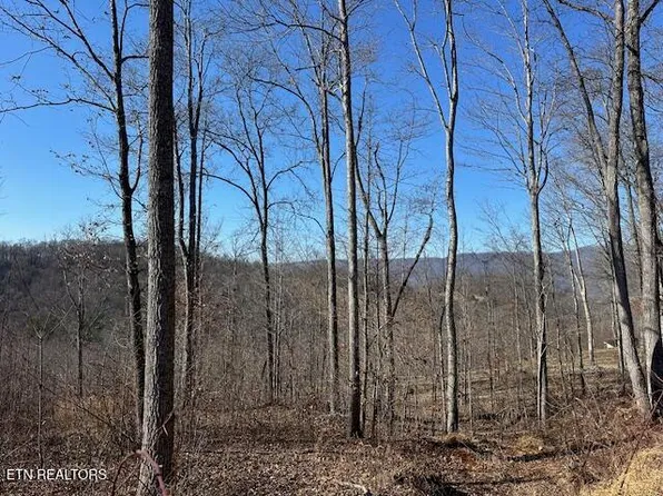 Dooley Hollow Rd, Ewing, VA 24248