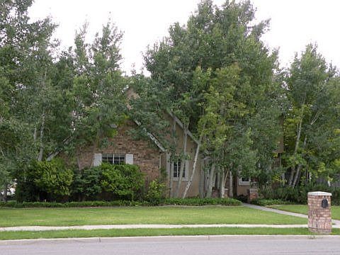 Front of house in the summer