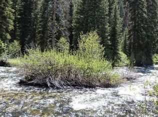 2617 E Fork Rd, Sula, MT 59871