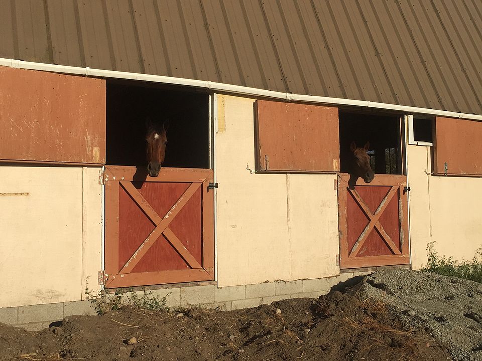 adjacent horse farm