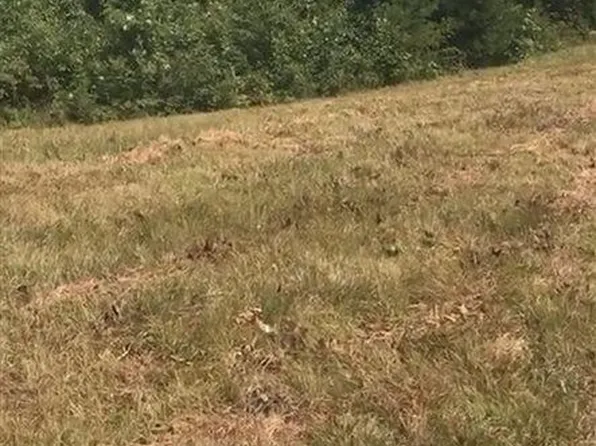 2270 Trace Way, Sevierville, TN 37862