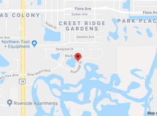 1856 Riveredge Dr, Tarpon Springs, FL 34689
