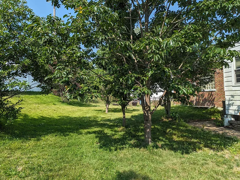 9505 Eudora Ct — Photo 21