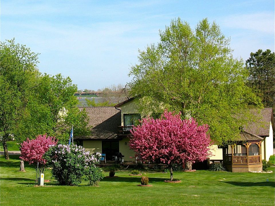 Back yard in springtime!