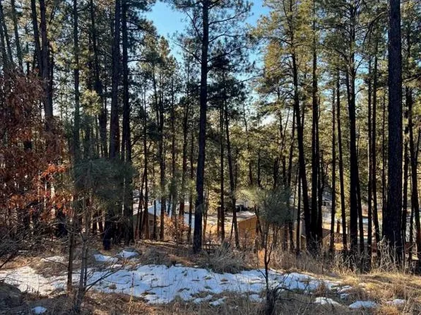 567, 581, 591 Mesa Drive, Bayfield, CO 81122