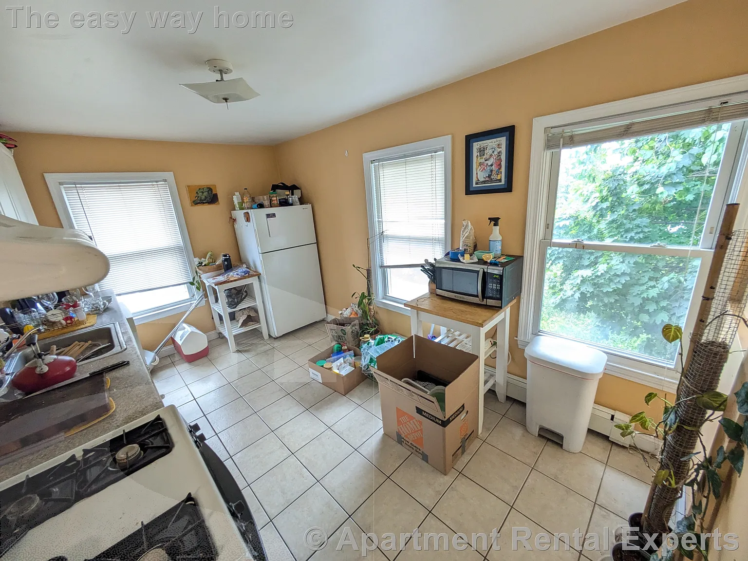 2 bed, 9999 sqft, $2,375 — Photo 2