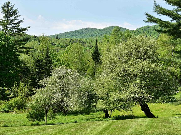 3rd image of 60 Hampshire Hill Road