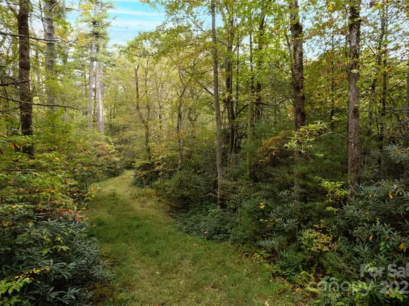 0 Beaumont Dr, Cedar Mountain, NC 28718